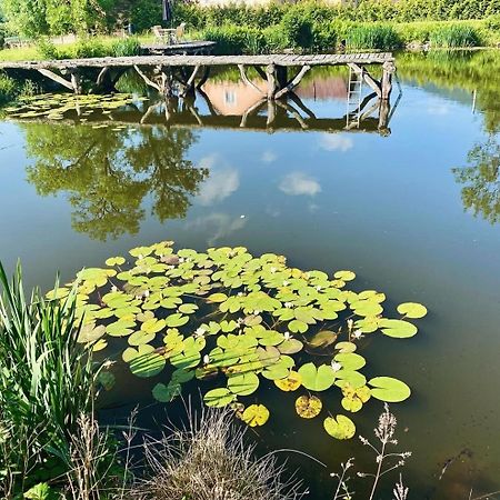 Agroturystyka Leszczynowy Dworek Ponikwa  المظهر الخارجي الصورة